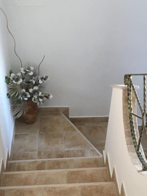 Casa Vacanza Gargano Carpino Zewnętrze zdjęcie