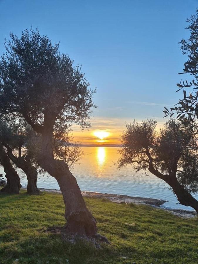 Casa Vacanza Gargano Carpino Zewnętrze zdjęcie